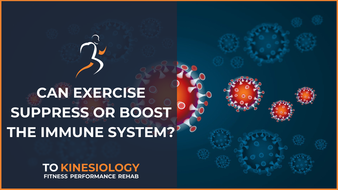 Does exercise surpress or boost the immune system